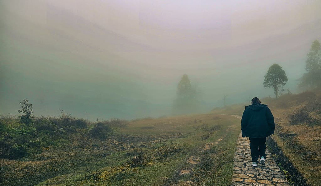 Into the Highland Mist